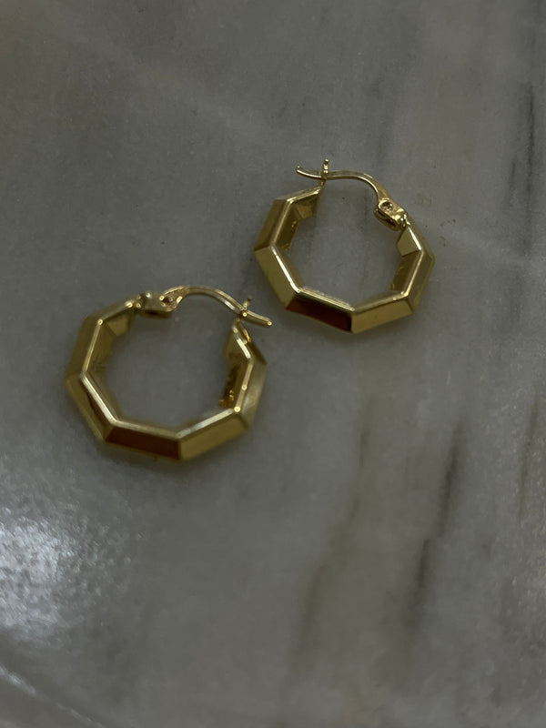 14K Yellow Gold Octagon Hoop earrings