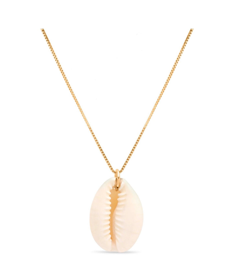 14K Gold Cowrie Shell Necklace